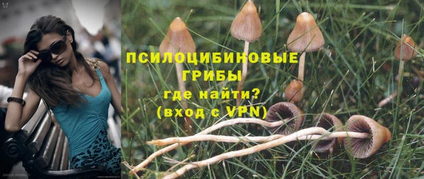 MESCALINE Аркадак