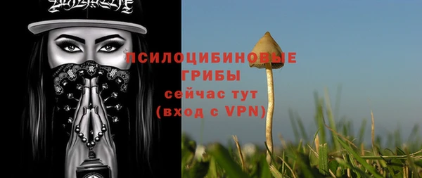 каннабис Арсеньев