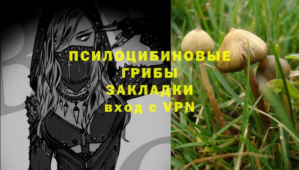 каннабис Арсеньев