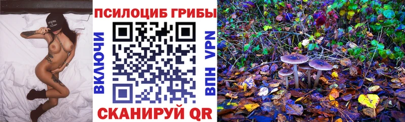 где найти наркотики Урус-Мартан Псилоцибиновые грибы Magic Shrooms
